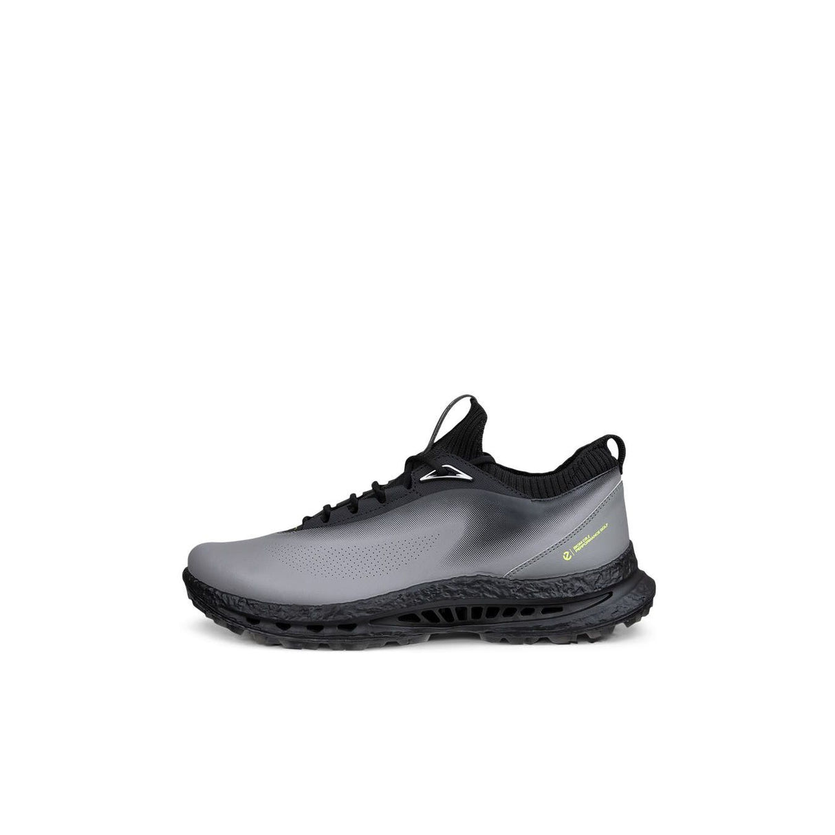 CHAUSSURE ECCO GOLF BIOM C5 HOMME