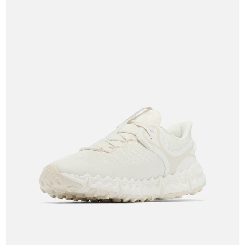 Columbia Voyager FLX Chaussure Homme Légère et Réactive Pour Ville