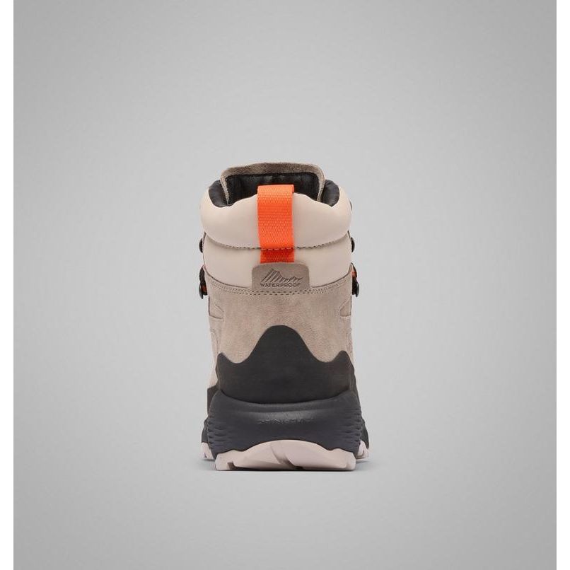 Botte Columbia Newton Alpine PT Homme