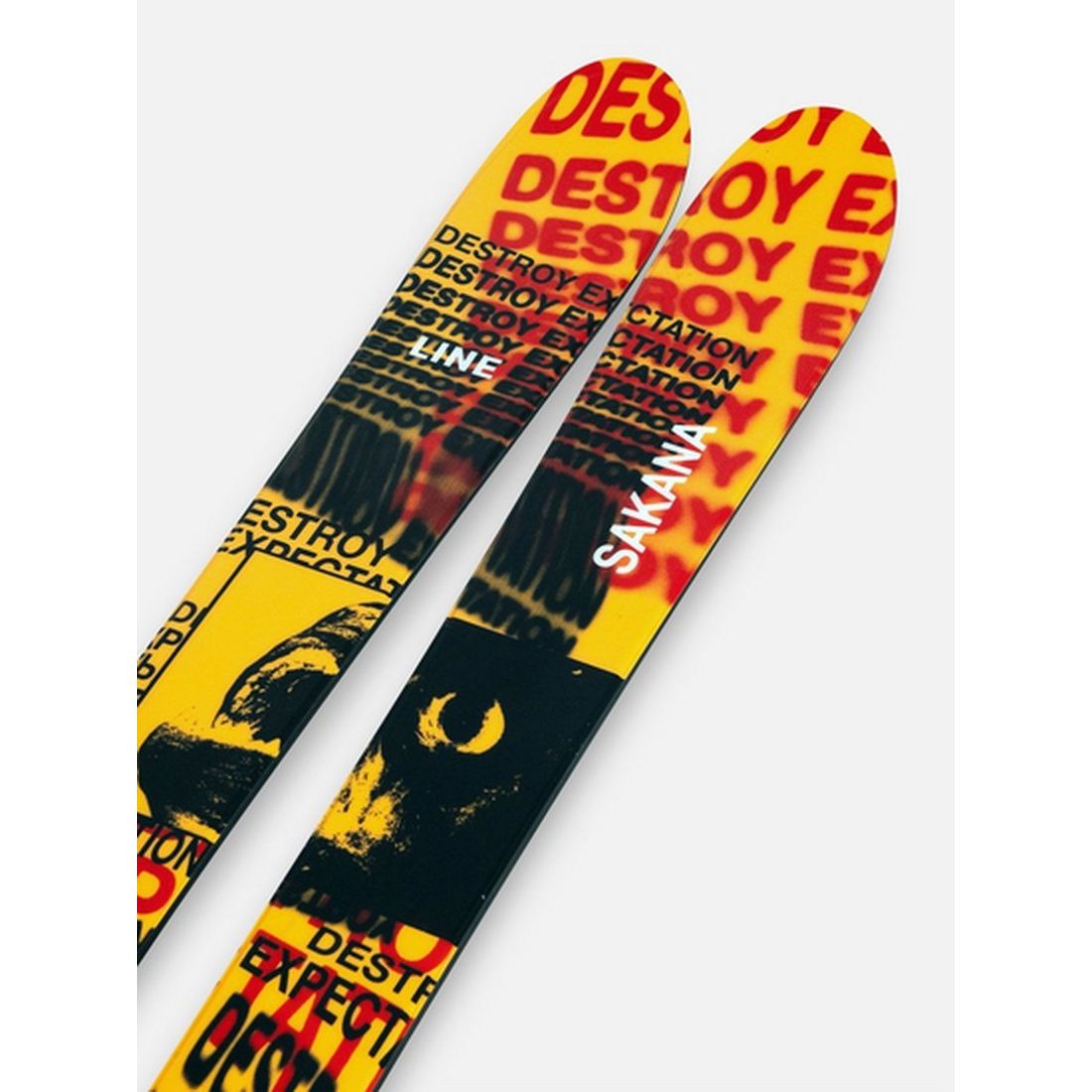Ski Line Sakana