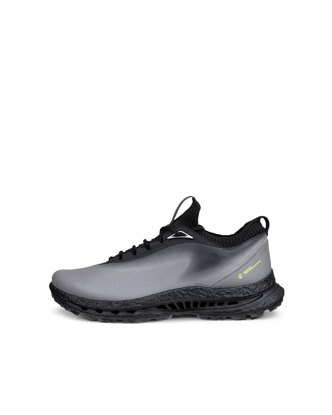 CHAUSSURE ECCO GOLF BIOM C5 HOMME