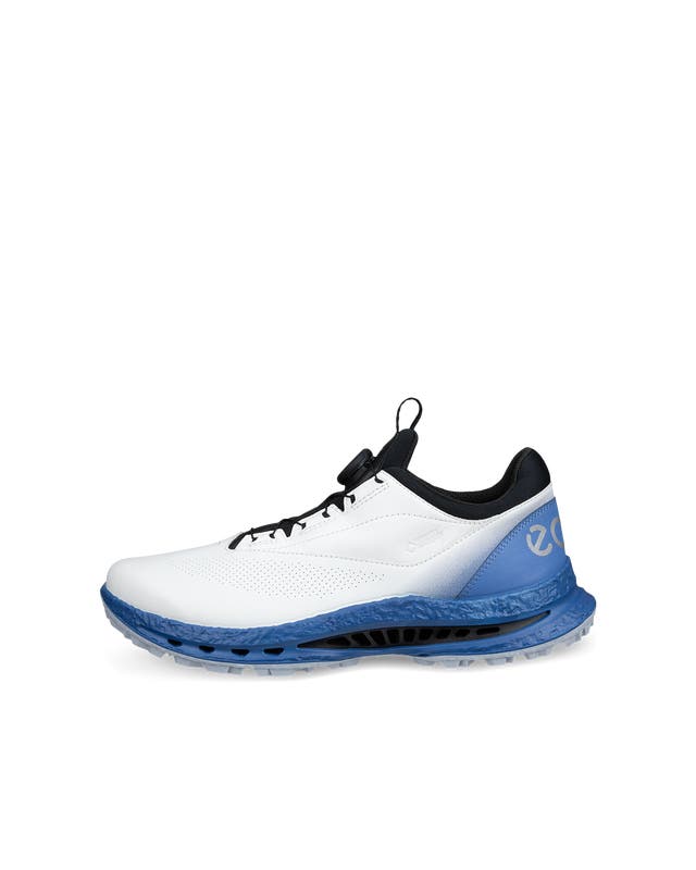 CHAUSSURE ECCO GOLF BIOM C5 HOMME