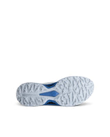 CHAUSSURE ECCO GOLF BIOM C5 HOMME