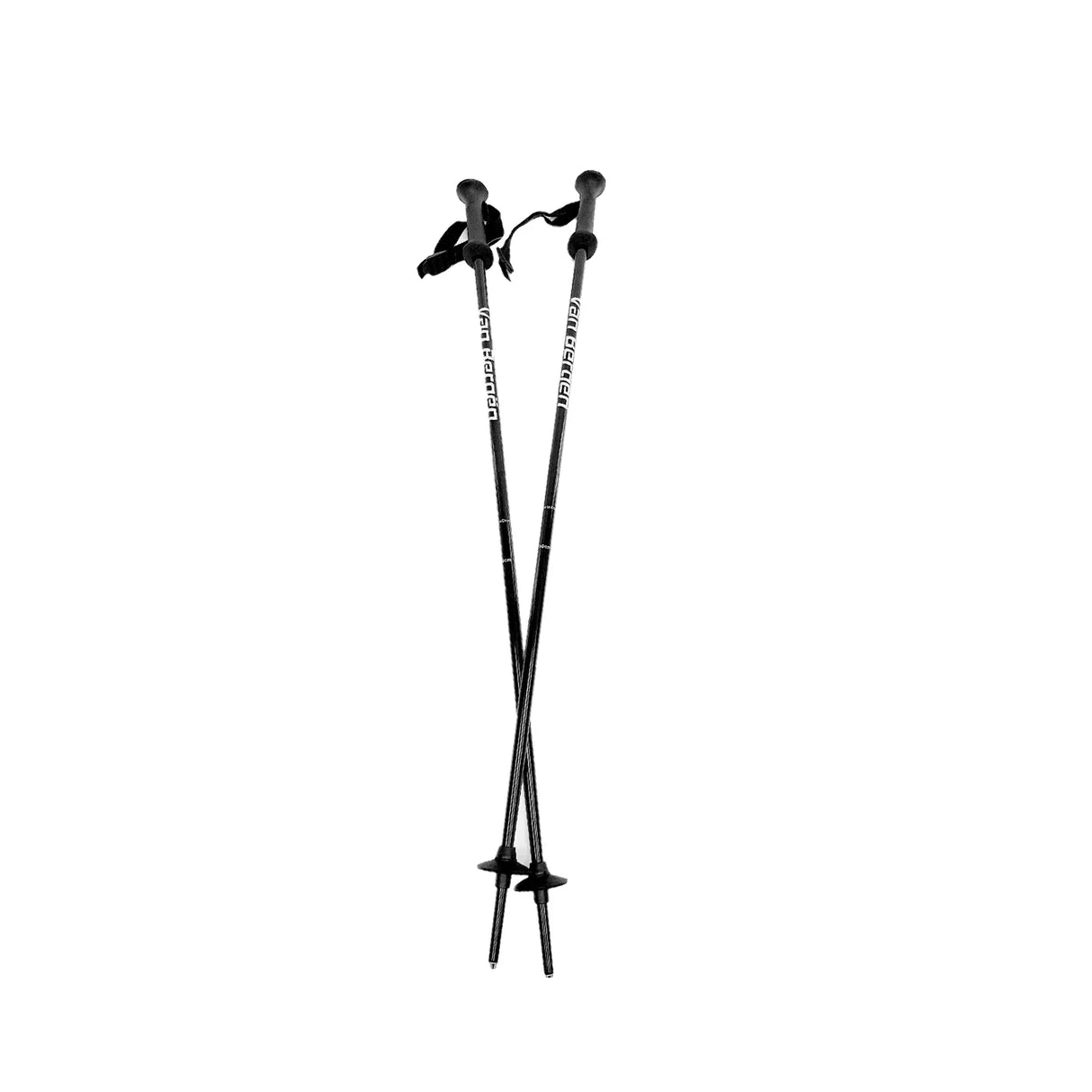 BATONS DE SKI VAN BERGEN