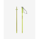 Salomon Polar Durable Performance Ski Poles