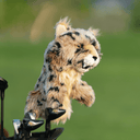 DAPHNE'S DRIVER HEADCOVER