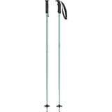 ATOMIC CLOUD ALPINE SKI POLES